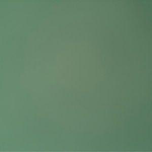 Meet your Posher, Toya